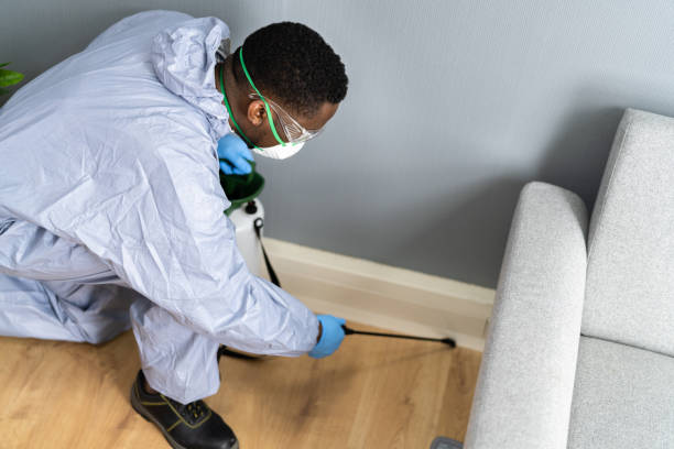 Best Residential Pest Control  in Danvers, IL